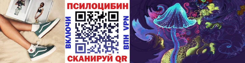 где купить наркотик  Скопин  Псилоцибиновые грибы Magic Shrooms 